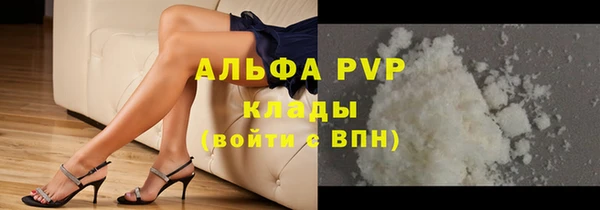 ГАЛЛЮЦИНОГЕННЫЕ ГРИБЫ Верея